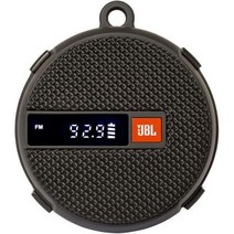 JBL 윈드 2 스피커 2-in-1 FM & 블루투스 핸들bar 스피커