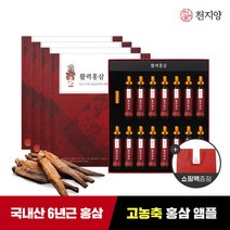 [천지양] 6년근 활력홍삼 앰플 20ml x 15병 x 4박스 + 쇼핑백, 단품, 단품