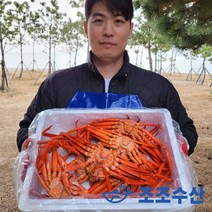 [조조수산]울진 후포리 박달홍게 찜 산지직송 자숙홍게 3kg, 박달홍게 3kg (8~10마리/자숙)