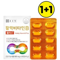 종근당 활력 비타민B 플러스 120정 4개월분 비타민비군 복합체