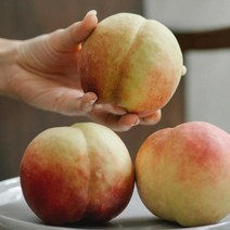 백도 말랑이 복숭아 특품 2kg