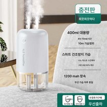 가습기 나노 미스트 휴대용 미니 무드등 청정기 수분 공급, 스마트가습나노듀얼스프레이수면무드등, 항속력설화백무음가습스마트건열방지