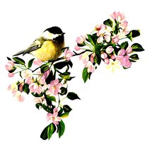 중식화구 중화렌지 3Ratels QC116 꽃 벽 스티커 침실을위한 가정 장식 중국 전통 회화 모란, 02 QC104_05 50cm( 19.7inch)