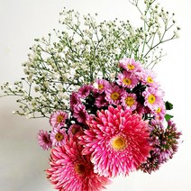 질레트 퓨전파워 면도기+호환 면도날4입 8입 12입, 호환8입