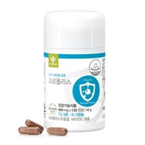 염증 프로폴리스 천연항생제 엔트리 프로폴리스(20일분x2) 활성산소제거 플라보노이드함유 중금속배출, 2통