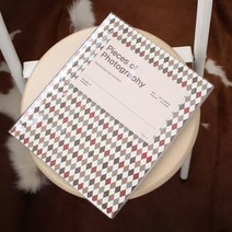 토비메모리 비비드 초음파앨범 포토앨범 15매 (30페이지), 비비드앨범 (아비아)