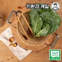 [농사임당] 친환경 무농약 녹즙용 쌈용 케일 쌈채소 500g/1kg, 500g, 1개