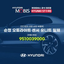 현대모비스 순정 오토라이트 센서 유니트 일체 (9510039000), 1개
