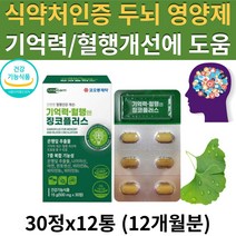 (현이) 식약처 인증 혈행엔 징코 은행잎추출물 두뇌 뇌 혈관 건강 기억력 혈행 개선 에 좋은 도움을 주는 플라보놀배당체 영양제 부모님 어르신 건강 식품 선물 추천 GINKGO, 12통