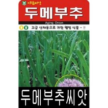 [워터트리몰] 채소 종자 재배 씨앗 두메부추씨앗(100립) (A)