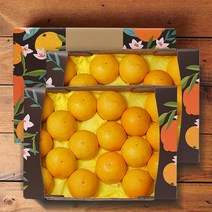 제주 황금향 선물세트, 2.6kg 17-20과 x 2박스