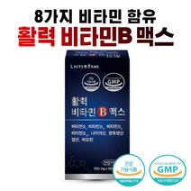 활력 비타민B 맥스 비오틴 종합영양제 종합비타민 건강기능식품 나이아신 판토텐산 엽산 영양제추천, 1개, 1개