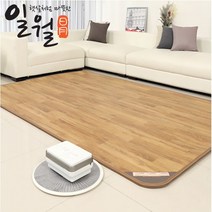 일월 나노륨 플러스 온돌마루 온수 카페트매트, 소형