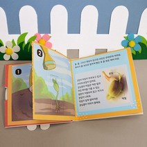 초등 식물 성장관찰 강남콩 한살이 활동지 북아트 3개 유치원 생태체험 문센 원예치료 DIY