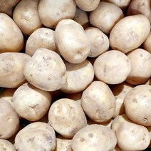 자담땅끝 22년 해남 황토 수미 햇감자 특 왕특 3kg 5kg, 햇감자특