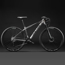 자전거 29인치 MTB 스피드바이클 팻바이크 더블 카본 수입 오프로드 입문용 풀샥 성인용, 33 속도, E