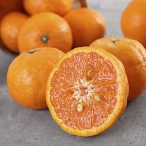 [산지직송] 제주 돌담 카라향 2kg 중과(12-16과내), 단품