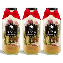무화라임주 담금주 키트 1000ml 과일주 만들기 세트 술판다, 무화라임주키트 1000ml 3병