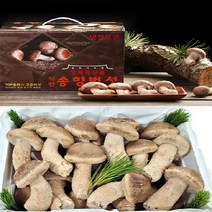 송이향버섯 친환경무농약 선물용, 송향파지(업소용)2kg