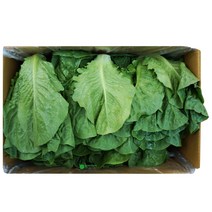 통로메인(1.8kg - 2kg)