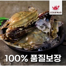 서해안 신진도 당일조업 꽃게 제철 냉동 가을 시세 톱밥 활꽃게 암꽃게 꽃개, 1개