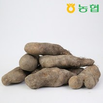 삼촌밥먹자 북안동농협 국산 안동 산마 (중)2kg 3kg 5kg, 산마 (중)5kg