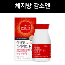내츄럴플러스 에버핏 다이어트 천사 1100mg x 112정 가르시니아 체지방감소