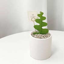 피쉬본 생선뼈 선인장 키우기 인테리어식물, 무광세라믹(받침포함)