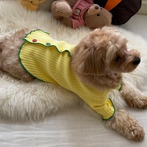 강아지옷 컬러 버튼 가디건 소형견 의류, 옐로우