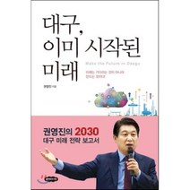 대구 이미 시작된 미래 : 권영진의 2030 대구 미래 전략 보고서, 권영진 저, 클라우드나인