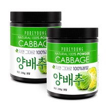 퓨어영 국산 양배추가루 250g, 국내산양배추가루250gx2통