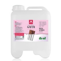 슬로웨이 이사할집 남편이해주는 화장실 녹제거 스텐녹 타일녹물자국 수도배관 녹, 8L, 1개