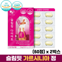 가르시니아 캄보지아 추출물 정 셀레늄 판토텐산 비타민B군 식약처인증 가르시니아다이어트, 2박스, 60정
