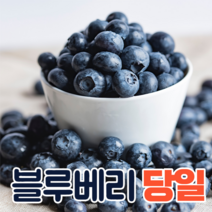 특등품 미국산 칠레산 생 블루베리 생과 3팩 6팩 12팩, 생 블루베리 3팩