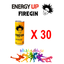 파이어진 에너지드링크 250ml, 30캔