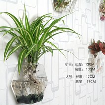 애완물고기 쿠바펄 벽걸이 화분 어항 풍선몰리 카디날테트라 공기정화 가습 레드스워드 소형열대어 워터히아신스 아보카도, 아주 작다, 라지 육각 꽃병+헴펜싱