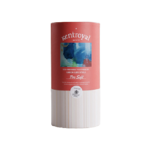 켄트로얄 초 극세모 칫솔 프로소프트, 4개, 12개입