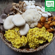 국내산 무농약 버섯모듬 세트 1kg 2kg 노루궁뎅이 송이 백령 느타리 모듬버섯 버섯선물세트 산지직송, 모듬버섯 커플용 1kg (500g 2개)