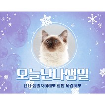 이베이비랜드 +제작+ 겨울왕국 크리스마스현수막 _ 현수막제작 플랜카드 생일현수막 생일플랜카드 파티용품