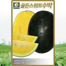 골든스위트수박 씨앗 수박 씨 종자 5립