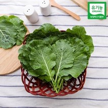 자연맛남 [자연맛남] 유기농 쌈케일 1kg, 1개