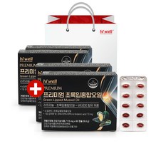 하이웰 프리미엄 뉴질랜드 초록입홍합오일 60캡슐, 2+2통