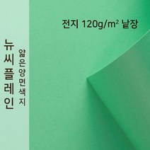 뉴씨플레인 종이문화 얇은 양면색지 120g 전지 낱장 1매 No.39 에머랄드색, 1장