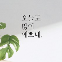 큐데코 감성 명언 레터링 스티커 포인트스티커, 01.많이예쁘네-블랙*사이즈-S