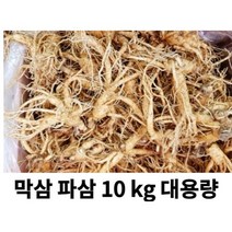 금산인삼시장 수삼 파삼 가정용 4- 5년근 파삼 10kg 못생긴인삼 막삼 대용량 홍삼만들기, 1개