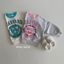 일센치 하버드맨투맨 S-XL