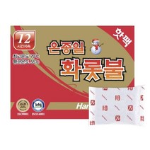 온종일 화롯불 일반형 포켓형 손난로 핫팩 80g, 5000