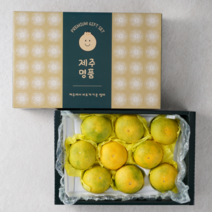 과일선물세트 제주 특산품 황금향 선물세트 명절 추석, 1박스, 2kg (5-12과)