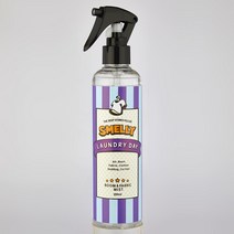 스멜리(SMELLY) 실내&섬유용 룸앤패브릭 탈취제 방향제 250ml 5종 택1, 1병, 런드리데이