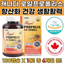 캐나다 로얄프로폴리스 플라보노이드 항산화 면역기능 프로폴리스100 폴라폴리스 노화방지영양제 고함량프로폴리스 PROPOLISSPRAY 뉴질랜드프로폴리스 프리미엄프로폴리스 프로폴리스분말 프로폴리스스포이드